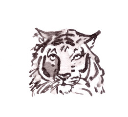 Tiger head black and white ink drawing oriental horoscope