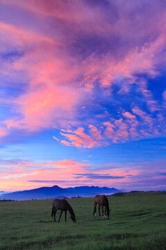 馬と八ケ岳と富士山と蓼科山などの山並みと朝焼け, 長和町,小県郡,長野県