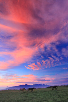 馬と八ケ岳と富士山と蓼科山などの山並みと朝焼け, 長和町,小県郡,長野県
