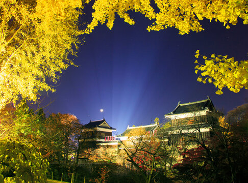紅葉のイチョウと上田城のライトアップの光芒と地球照の三日月, 上田市,長野県