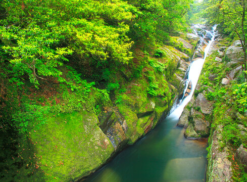 飛流橋から望む新緑の飛流おとし, 屋久島町,熊毛郡,鹿児島県
