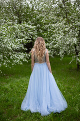 Obraz na płótnie Canvas blonde girl in a blue dress in an apple orchard