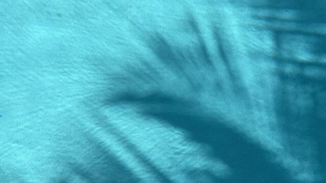 The shadow of the palm tree leaves reflected on the water of the swimming pool.