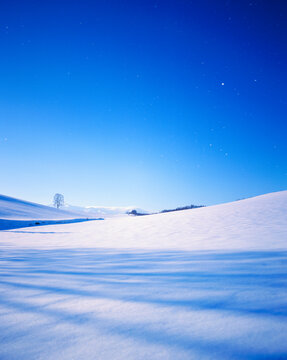 月夜の雪原と木立と十勝連峰, 美瑛町,上川郡,北海道