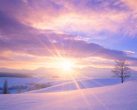雪原と木立と十勝連峰と朝日の光芒, 美瑛町,上川郡,北海道