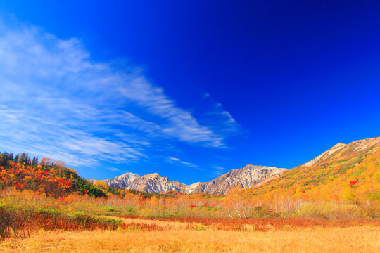 紅葉の白馬岳など白馬三山とミズバショウ湿原, 小谷村,北安曇郡,長野県