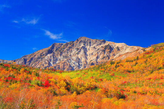 紅葉の白馬岳, 小谷村,北安曇郡,長野県