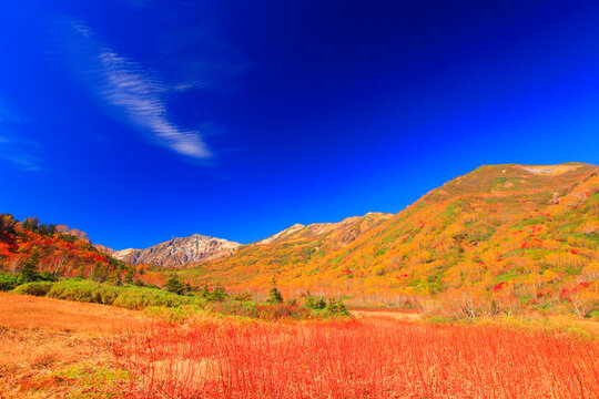 紅葉の白馬岳とミズバショウ湿原, 小谷村,北安曇郡,長野県