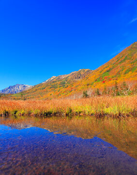 池に映る水鏡の紅葉の白馬岳, 小谷村,北安曇郡,長野県