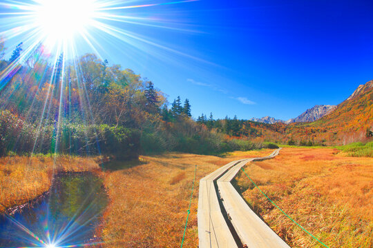 紅葉の白馬岳とミズバショウ湿原と木道と太陽の光芒, 小谷村,北安曇郡,長野県