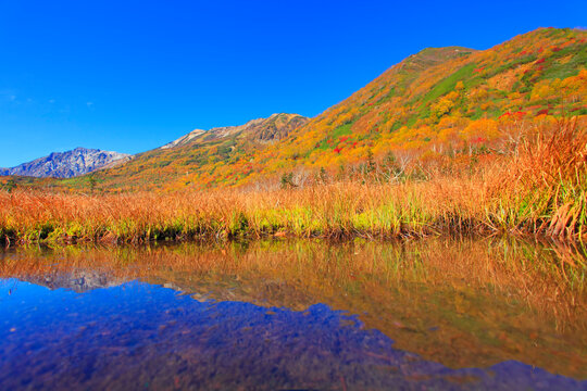 池に映る水鏡の紅葉の白馬岳, 小谷村,北安曇郡,長野県
