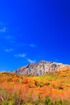 紅葉の白馬岳, 小谷村,北安曇郡,長野県