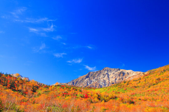 紅葉の白馬岳, 小谷村,北安曇郡,長野県