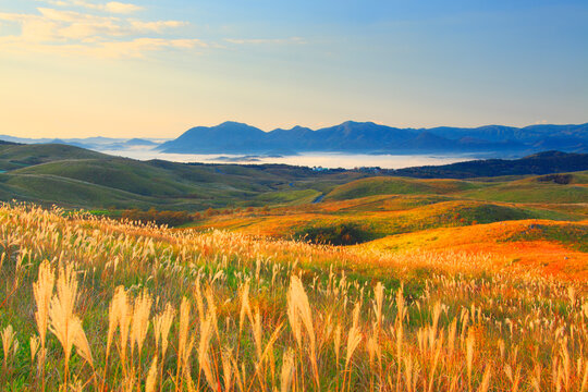 朝のカルスト台地とススキと日ノ岳などの山並み, 日本,美祢市,山口県