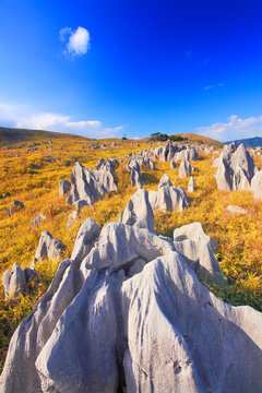 カルスト台地の石灰岩, 日本,美祢市,山口県