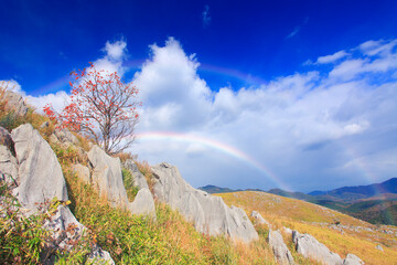 カルスト台地の石灰岩と柿の木と二重の虹と桂木山などの山並み, 日本,美祢市,山口県