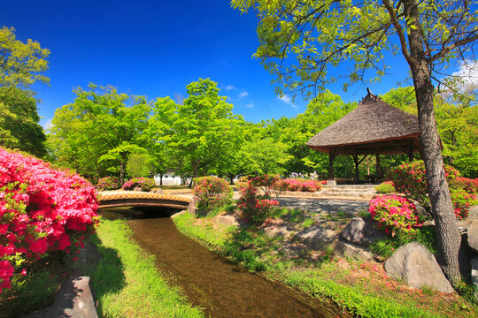 八幡原史跡公園の東屋とツツジと小川, 日本,長野県,長野市