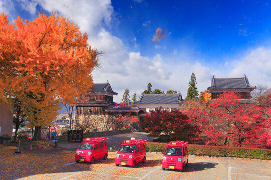 消防車と上田城とイチョウの紅葉と散る葉, 日本,長野県,上田市