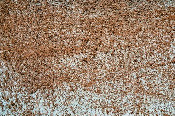 Red-orange painted wall with cinder block texture. Abstract interior background.