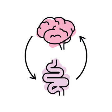 Gut Brain Axis. Brain And Stomach Line Icon. Brain Gut Connection. Psychobiotic Medical Concept. Vector Illustration On White Background