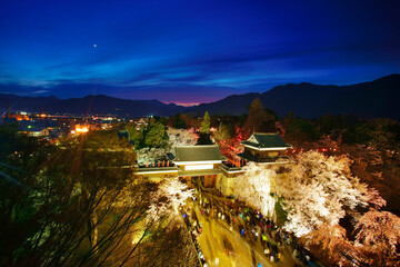 上田城と夜桜, 日本,長野県,上田市