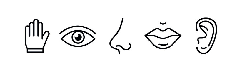 Human sense 5 five types. Vision through eye, smell with nose, taste with tongue line icon set. Symbols Drawn icon. Vector illustration on white background