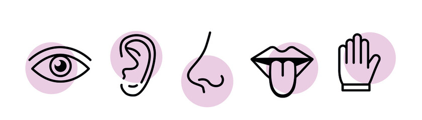 Human sense five types. Vision through eye, smell with nose, taste with tongue. Symbols Drawn icon. Isolated flat vector illustration on white background - obrazy, fototapety, plakaty