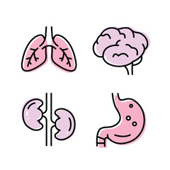 Intestines flat icon. Collection of outline symbols. Graphic Set of humans organs Brain Lungs Stomach Kidneys. Vector illustration on white background