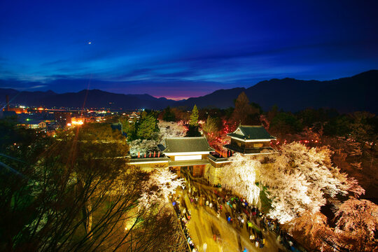 上田城と夜桜, 日本,長野県,上田市