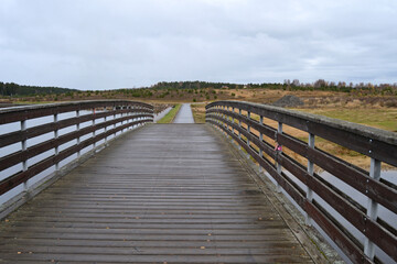 Fototapeta na wymiar Modern footbridge over the river, close-up of wooden flooring, the path goes into the distance, where the autumn natural view.
