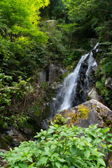 Waterfall is in mountain of Fukuoka prefecture, JAPAN