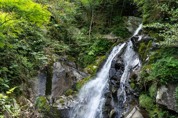 Waterfall is in mountain of Fukuoka prefecture, JAPAN