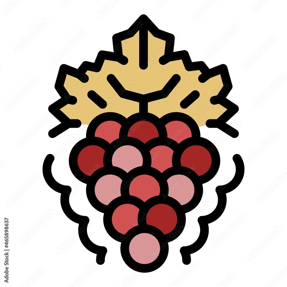 Poster bunch of grapes with leaf icon. outline bunch of grapes with leaf vector icon color flat isolated