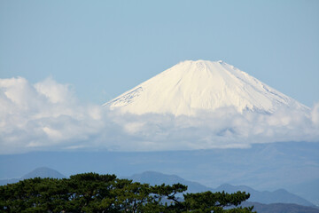 白雪の富士と丹沢主脈