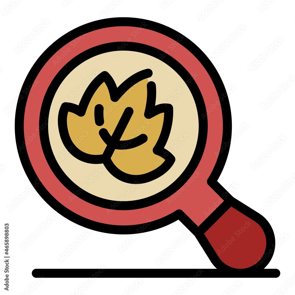 Poster grape leaf and magnifier icon. outline grape leaf and magnifier vector icon color flat isolated