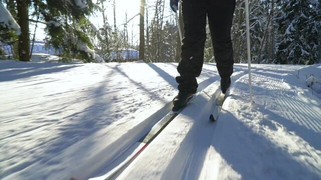 A woman going cross-country skiing in a frozen forest in Finland on a frosty sunny day. Steadicam Tracking Shot.