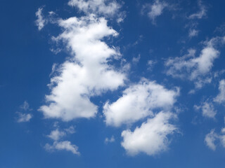 Fototapeta premium 秋の青空と雲 