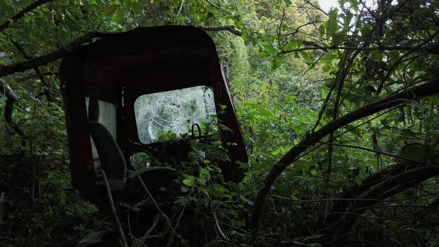 Old rusty tractor in woods. Pan lateral. Moving shot. Medium shot.