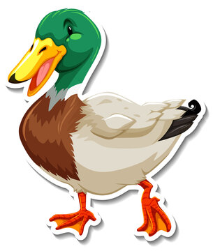 Duck animal farm animal cartoon sticker