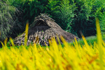 秋の北田遺跡　長野県飯田市上久堅