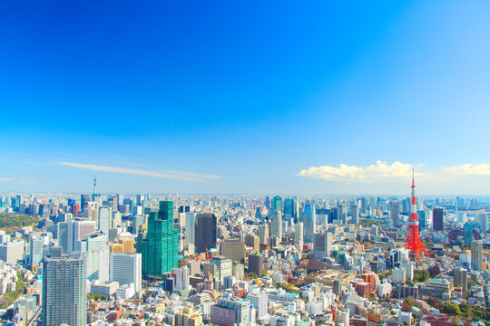 正午頃の東京タワーとビル群, 港区,東京都