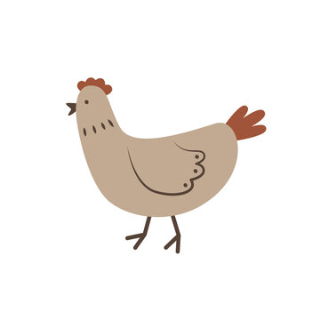 Cute cartoon chicken in doodle style. Farm poultry. Funny domestic animal. Simple flat icon. Illustration for food packaging design, children's educational books and games. Livestock item.