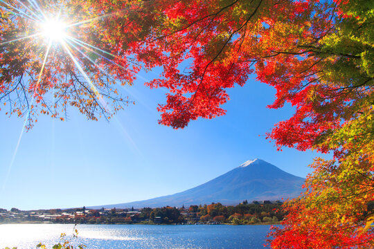 モミジの紅葉と富士山と河口湖と木もれ日の光芒, 富士河口湖町,南都留郡,山梨県