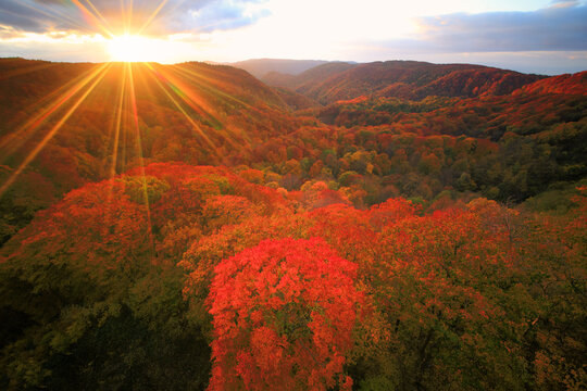 城ヶ倉大橋から望む城ヶ倉渓谷の紅葉と夕日, 日本,青森県,青森市
