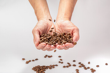 mãos em forma de concha segurando um punhado de grãos de café torrados, sobre fundo branco.
