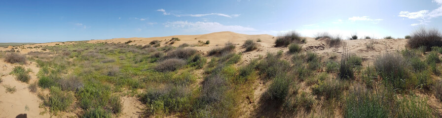 Kalmykia. Deserted area of the steppe.