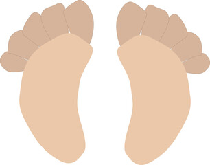 foot prints with toes,feet,vector drawing,isolate on a white background