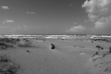 View of Torred el lago free beach