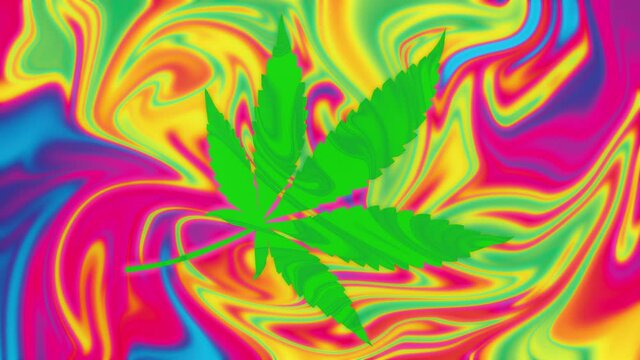 An abstract psychedelic cannabis leaf motion graphic background.