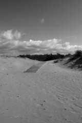 Dune ways at Torre del lago